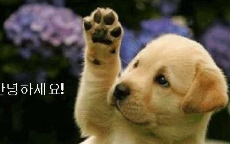 일본의 기본 인사말 배워보기